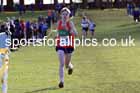 Junior mens 2025 Northern Cross Country Champs, Tatton Park, Knutsford, Cheshire. Photo: David T. Hewitson/Sports for All Pics